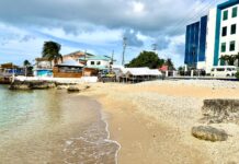 Property owner vows to fight plans to seize his land for fish market