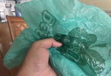 Single-use plastic bags pulled from Foster’s check-out areas Single-use plastic bags