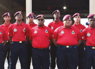 Careers Guide: Public safety career pathways for cadets