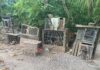 Police uncover cockfighting, gambling in eastern districts Police broke up a suspected cockfighting ring in Bodden Town