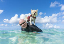 Happy memories of dog Spikey, a ‘smashing’ swimmer, comfort family Missing dog Spikey Haggis is remembered by his owner Colin Manson