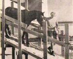50 years ago: CUC expands; horses arrive