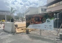 Opinion: George Town is an eyesore and ‘revitalisation’ has made it worse