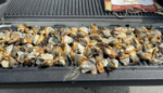 Man arrested with 70 conch; charged with assaulting DoE officer The Department of Environment says this conch was illegally taken from a marine protected area at Barkers. - Photo: Department of Environment