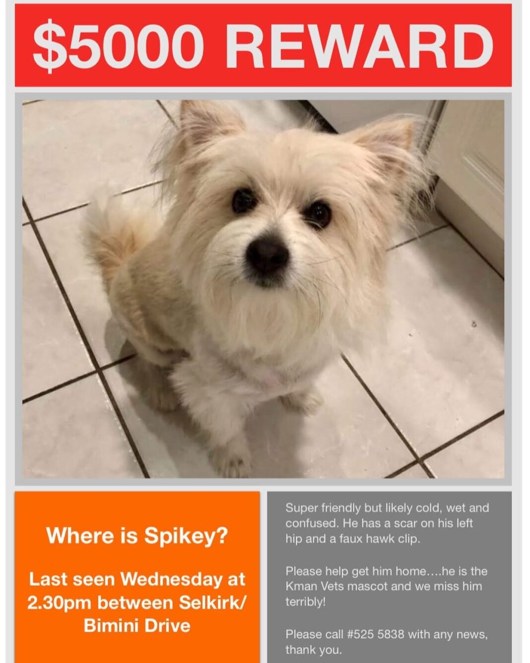 reward poster for Spikey