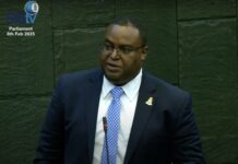 MP says ‘global reset’ means Cayman must marshal all its resources MP Chris Saunders speaks before Parliament on 6 Feb. about a 'global reset'. - Photo: Parliament of the Cayman Islands