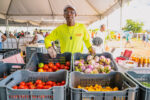 Thousands throng Agriculture Show as sun shines
