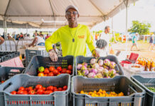 Thousands throng Agriculture Show as sun shines