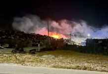 Public health chiefs’ warning over Brac dump fire