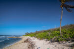 Government spent $11M last year to buy land for parks and beaches