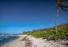 Government spent $11M last year to buy land for parks and beaches