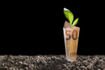 Marketwatch: Green shoots in Europe Europe
