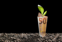 Marketwatch: Green shoots in Europe Europe