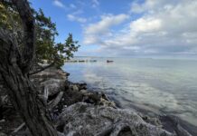 2024 was Earth’s hottest year on record — and one of Cayman’s wettest Global temperatures and sea levels are rising according to global data. - Photo: - Simon Boxall