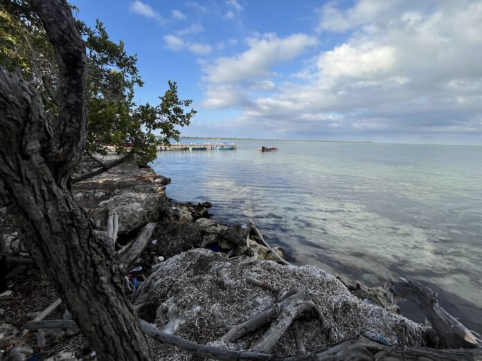 Hot Global temperatures and sea levels are rising according to global data. - Photo: - Simon Boxall