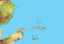 The Trump Effect: From avocados to housing, trade war means higher prices for Cayman