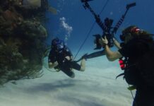 Underwater life in the Cayman Islands streamed live around the world Reefs Go Live