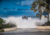 Strong cold front to bring rough seas and cool temperatures this weekend Waves hit the shore in Grand Cayman. - Photo: by Taneos Ramsey