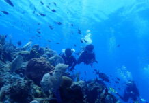 Local nominees sought for Scuba Hall of Fame