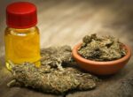 Support for yes vote on cannabis, but some urge caution Campaigners for a change have long argued that the current approach of criminalising cannabis users is not working,