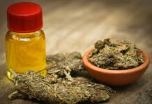 Support for yes vote on cannabis, but some urge caution Campaigners for a change have long argued that the current approach of criminalising cannabis users is not working,