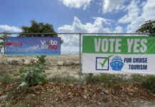 Editorial: The real question on cruise is: Can we afford it? CCMI says the impact of a cruise berth on Cayman's marine environment required careful consideration