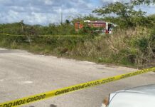 Police appeal to public over body found in burning car A fire truck attends the scene of a burning car