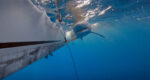 Documentary highlights shark monitoring in Cayman