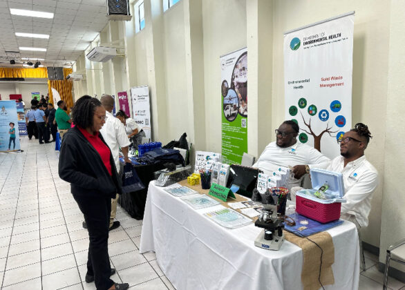 Cayman Brac careers fair
