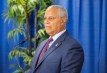 Scott retains major role in CINP as Rutty leads parliamentary party
