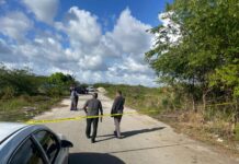 Woman found in burning car was not murdered, police believe