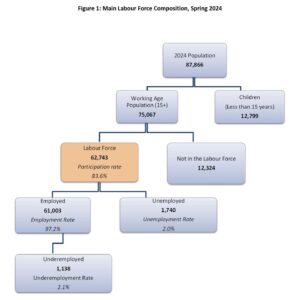Main labour force composition, spring 2024 - Image: Economics and Statistics Office