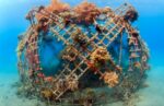 The issue explained: How ‘electric reefs’ could help restore lost coral and protect beaches