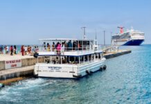 After the referendum, a new question for cruise: What now?