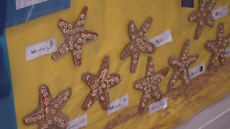 Cayman International School's &lsquo;Little Kid, Big Art&rsquo; show. - Images: Compass TV