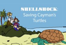 Cayman’s turtles celebrated in book by aspiring illustrators
