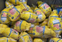 From patties to poultry: What Jamaican food can offer Cayman