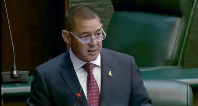 Joey Hew Leader of the Opposition Joey Hew speaks at Wednesday's meeting.