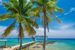 CTO: Caribbean tourism open for business after US intervention in Venezuela