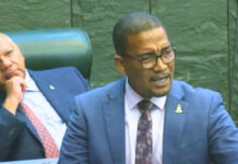 Government knocks down motion to extend NiCE programme Deputy Opposition Leader Kenneth Bryan's motion to extend NiCE was voted down on Parliament. - Photo: Parliament of the Cayman Islands