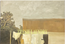 Local artist brings sun-faded nostalgia in ‘Fresh Laundry’ art series