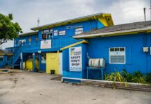 Cayman dogs facing potential kennel cough outbreak The Cayman Islands Humane Society has temporarily closed due to suspected outbreak of kennel cough