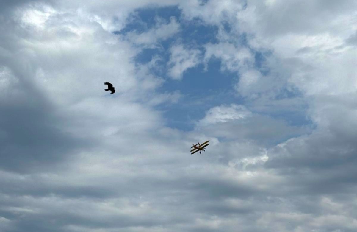 The vintage plane flew between 400 and 700 feet during Sarah's flight