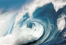 Tsunami exercise highlights limits of Cayman’s warning system