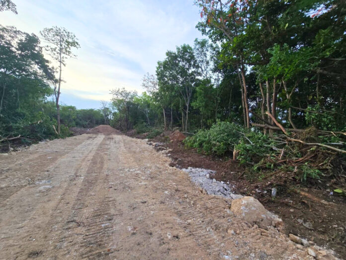 trees cleared Trees have been cleared while the proposed development waits a decision of the Planning Appeals Tribunal. - Photo: Supplied