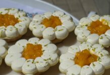 Mango Fest 2025 attracts record crowds