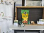 Government launches backyard garden programme