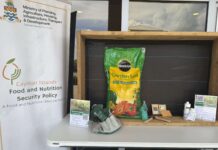 Government launches backyard garden programme