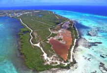 Woman drowns after being washed into sea at Barkers