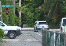 Man killed in car crash named Cool Springs Road in Savannah, near where a driver died in the early hours of Monday